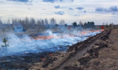 Лесные пожары в Челябинской области: вызовы и превентивные меры