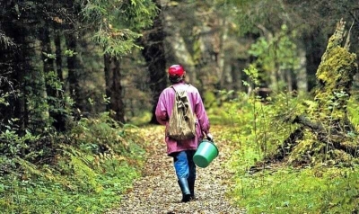 В лесу Альметьевска заблудились две женщины с ребенком
